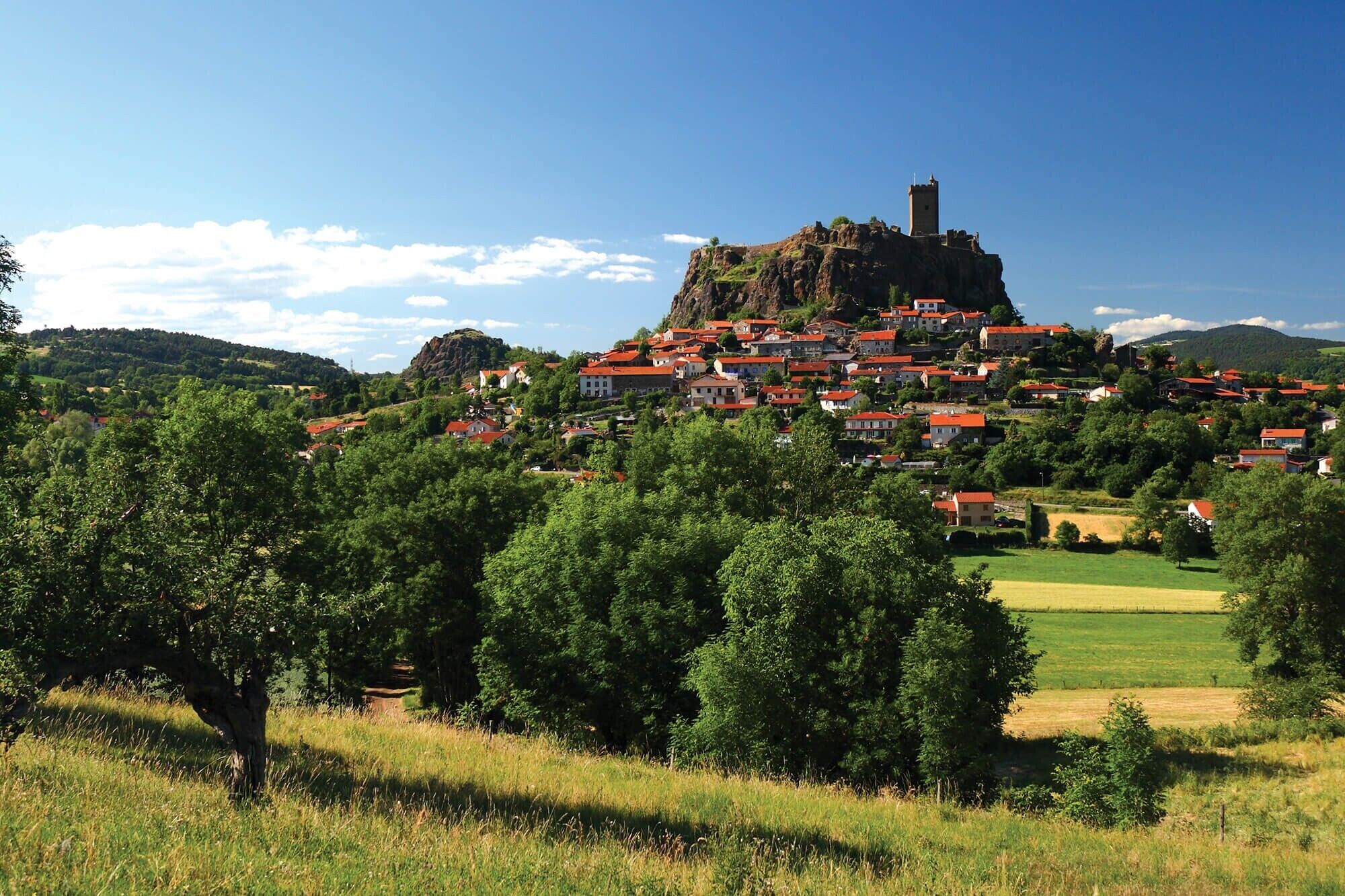 A town with a castle on a hill, surrounded by greenery and houses with red roofs.