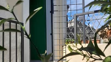 A residential entrance with a green door, a metal gate, and potted plants.