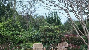Two wicker chairs in a garden with dense foliage and rocks. - Cottage gem with views of the Oslo Fjord (Akershus)