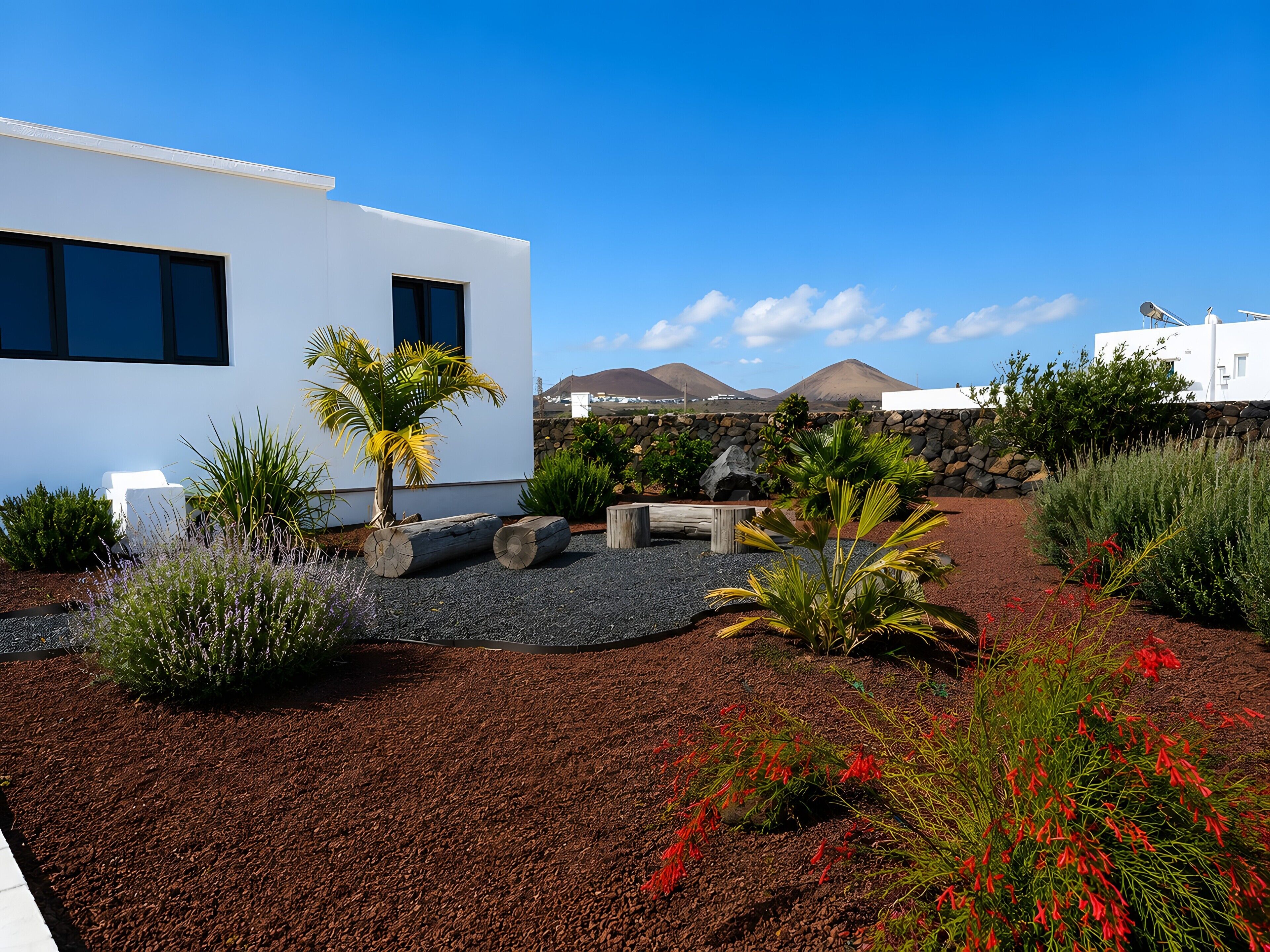 A modern building with a white exterior, a gravel courtyard, and various plants including a palm tree.
