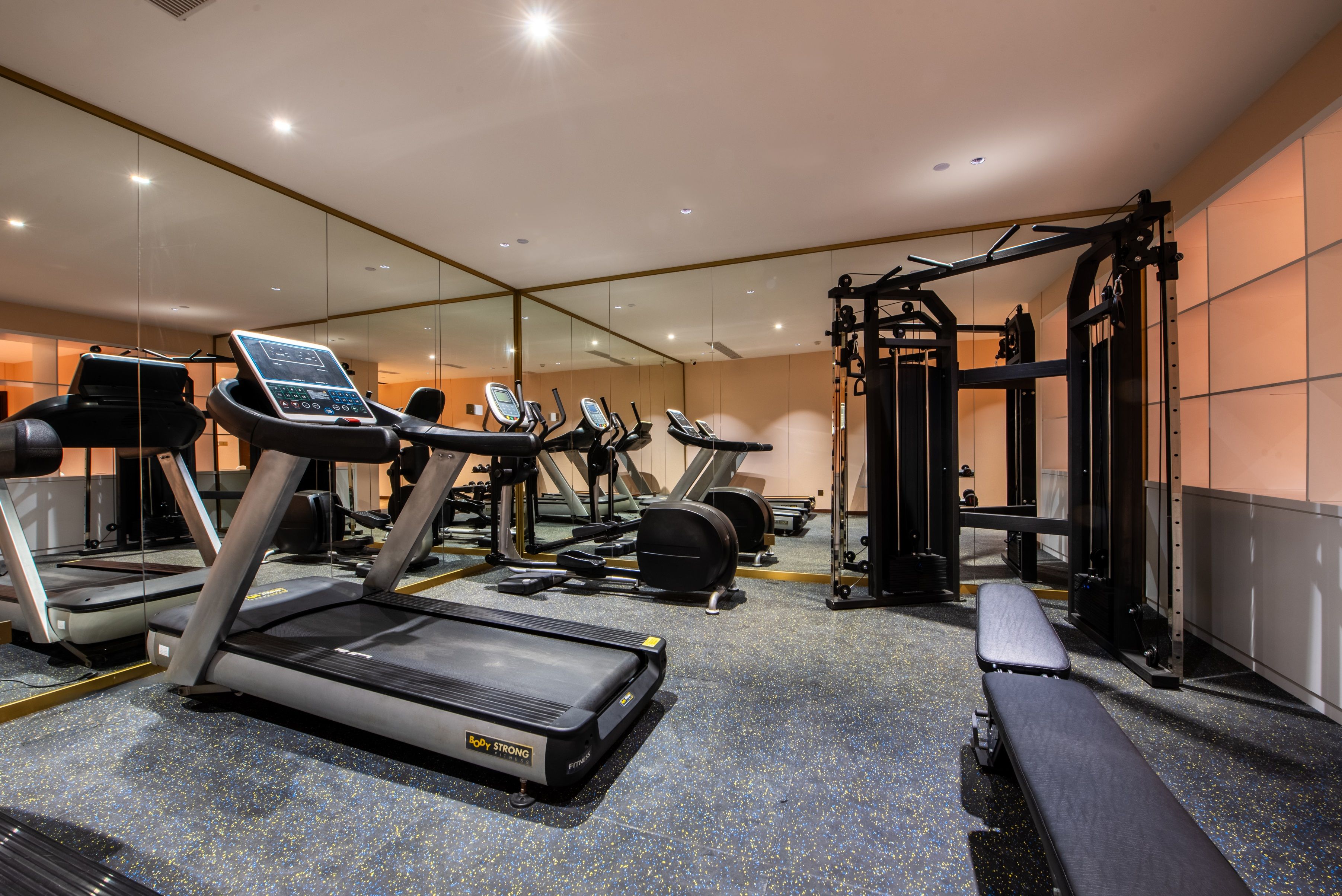 Un gimnasio con cintas de correr, máquinas de pesas y un espejo grande.
