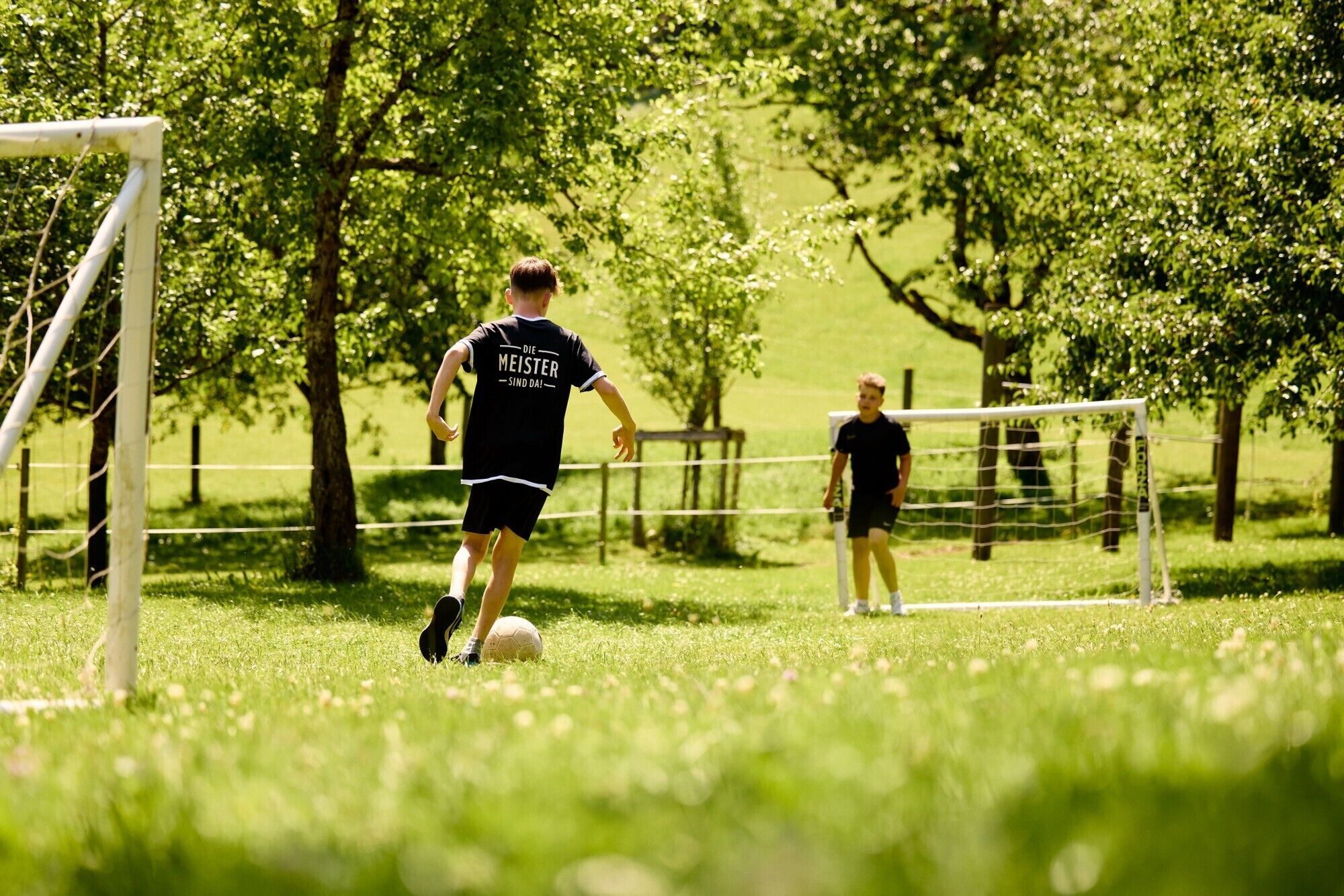 A soccer field with goalposts and a net, surrounded by trees and grass.