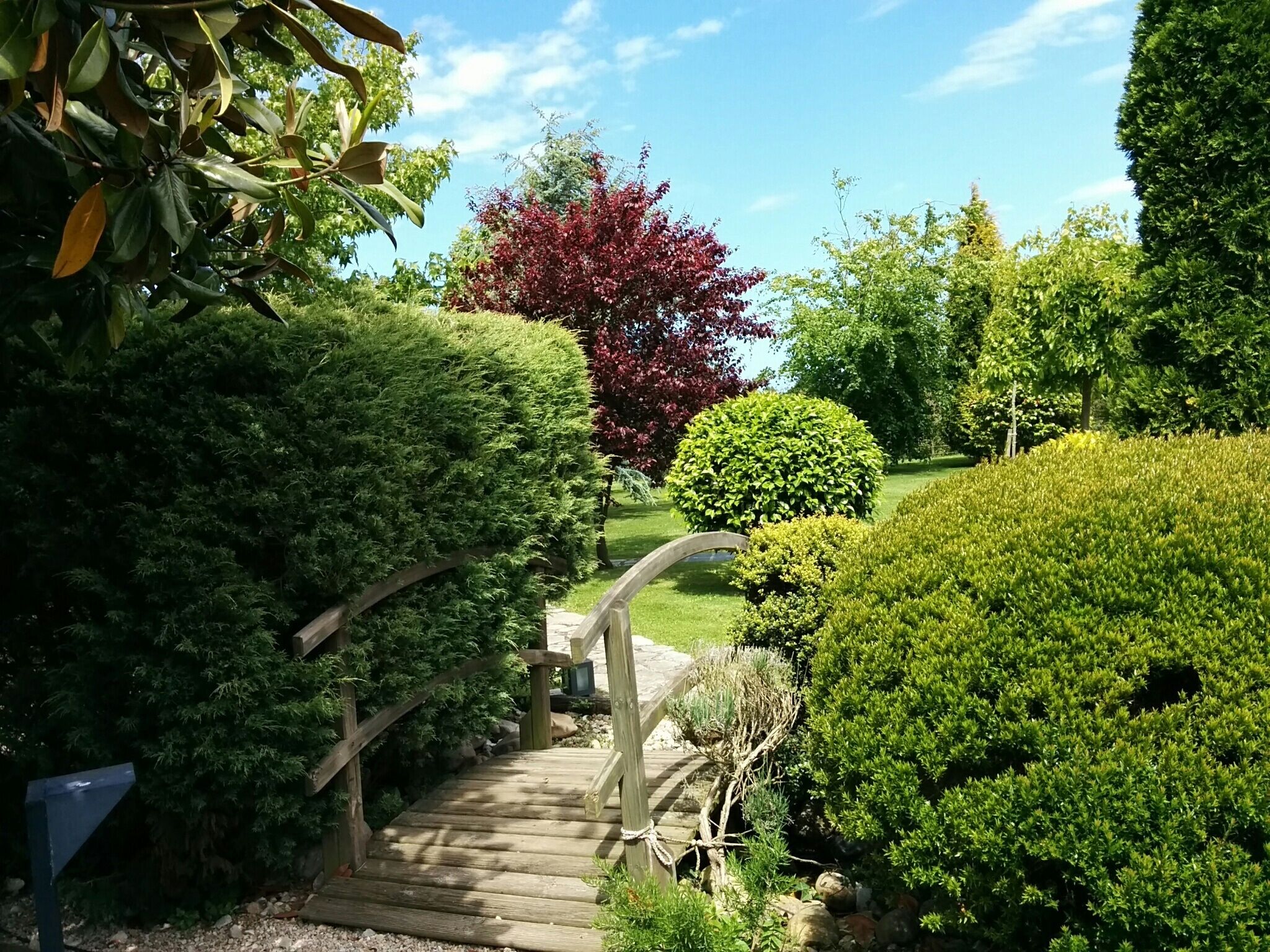 Un sentier en bois traverse un jardin bien entretenu, où l’on trouve divers arbustes et un grand arbre aux feuilles rouges.