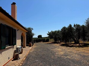 A building with a stone facade, a chimney, and a gravel driveway leading to a row of trees.
