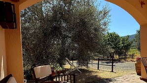 An outdoor seating area with wooden furniture and a view of olive trees. - Detached house just a few minutes from the beach (Castiglione della Pescaia)