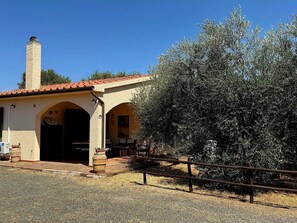 A building with a tiled roof, a chimney, and a large olive tree in front.