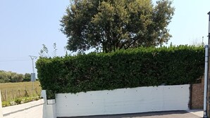 A paved area with a white wall and a hedge. - Atalaya 4001 Ground-Floor Apartment (Arnuero)