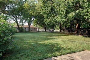 A grassy yard with trees and a fence.