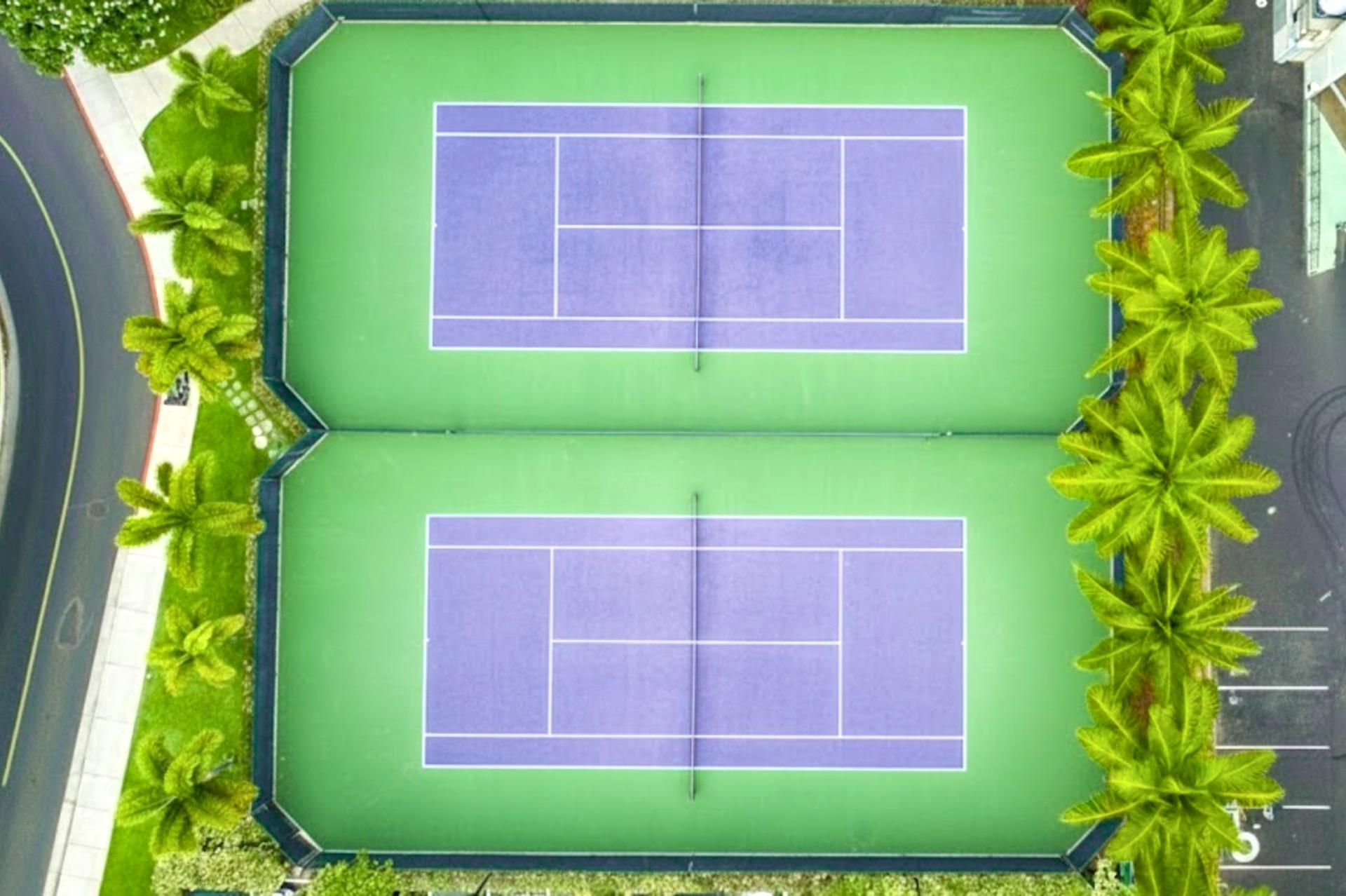 Vue aérienne d’un complexe de courts de tennis comprenant deux terrains, entourés de palmiers et bordés par une route.