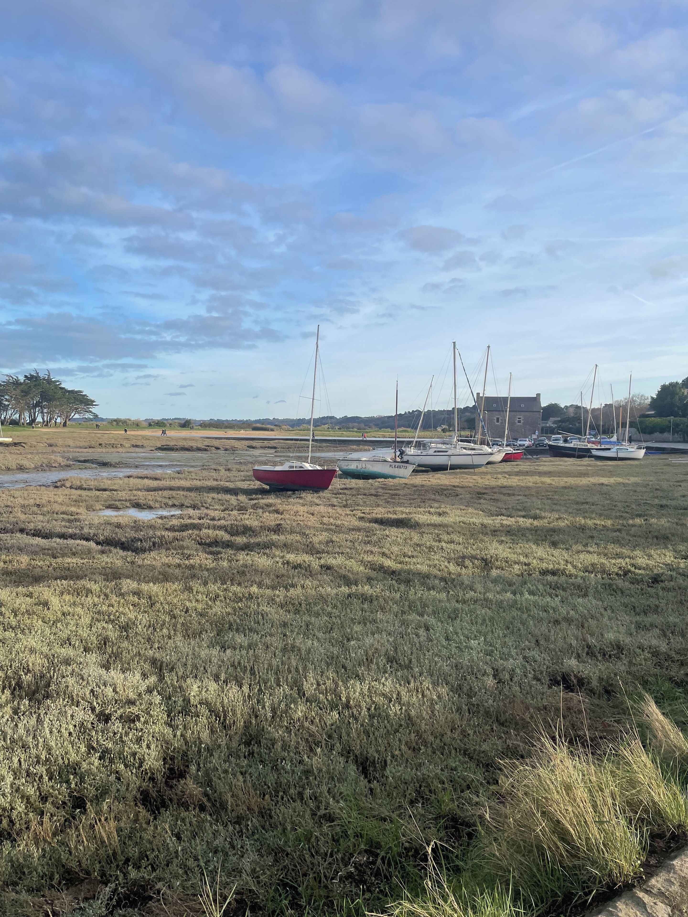 A marina with several sailboats docked, a grassy field, and a building in the background.