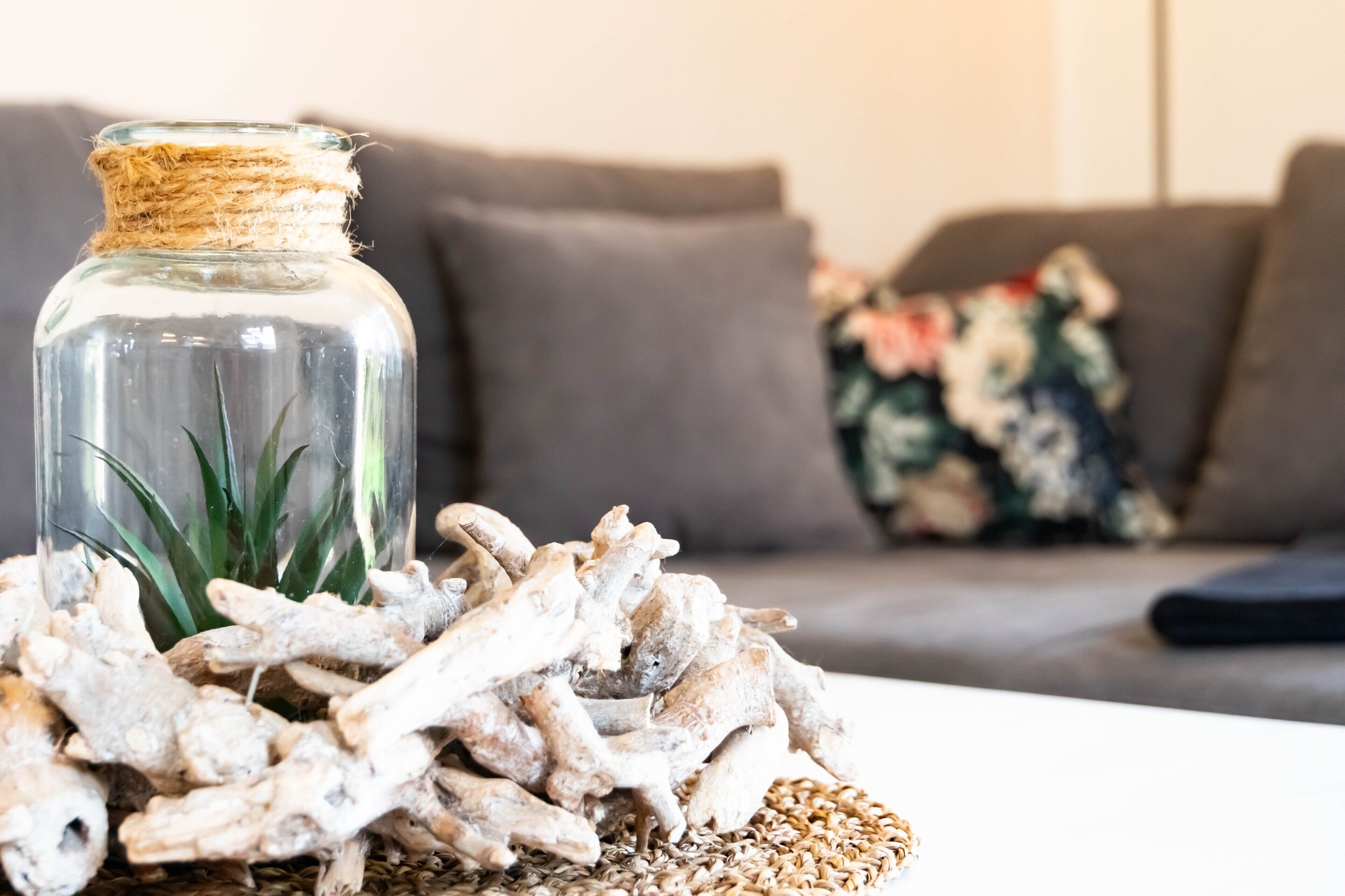 A clear glass jar with a plant inside, placed on a textured surface with dried plant material.