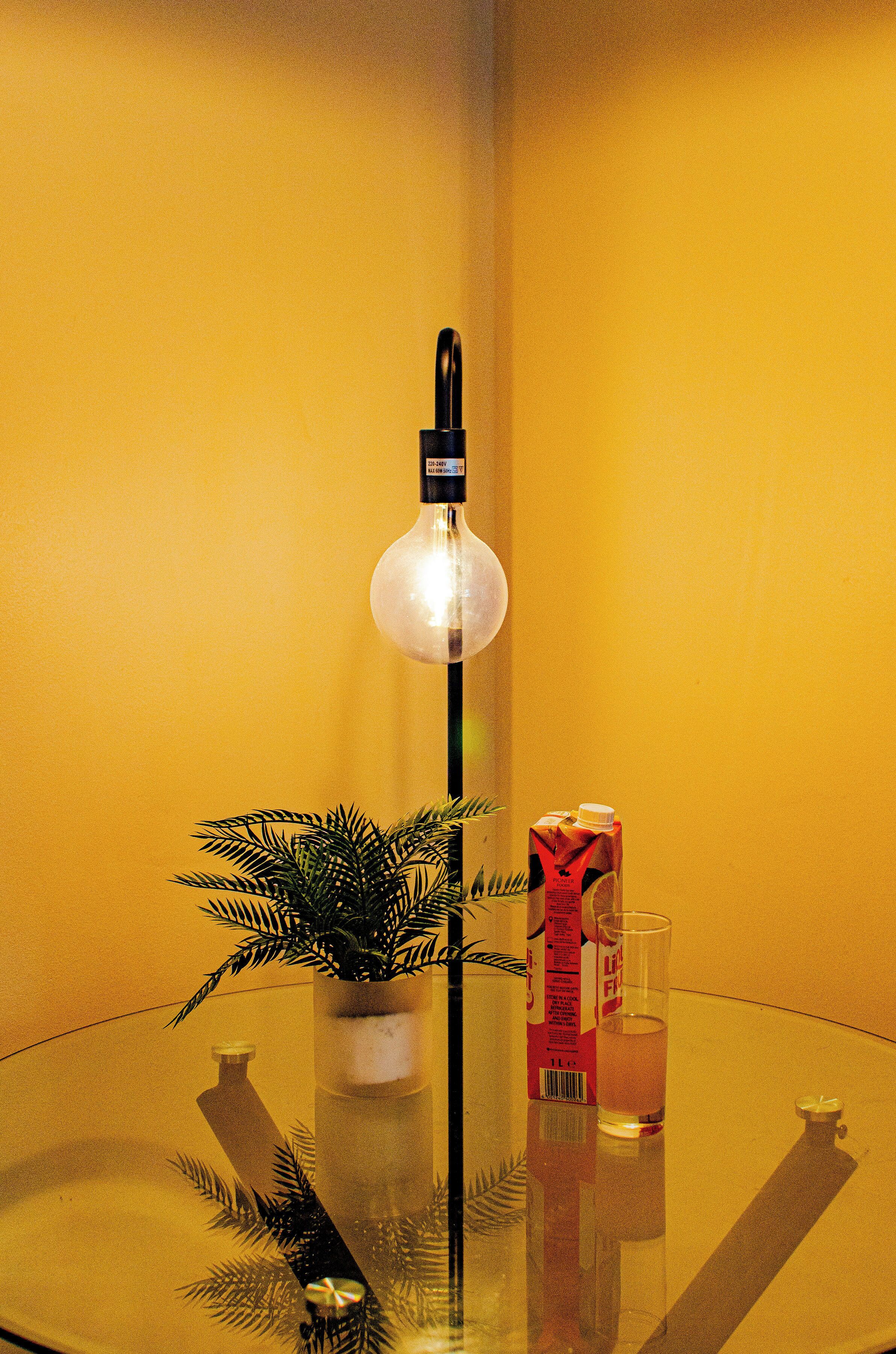 A table with a potted plant, a glass, and a carton of juice.
