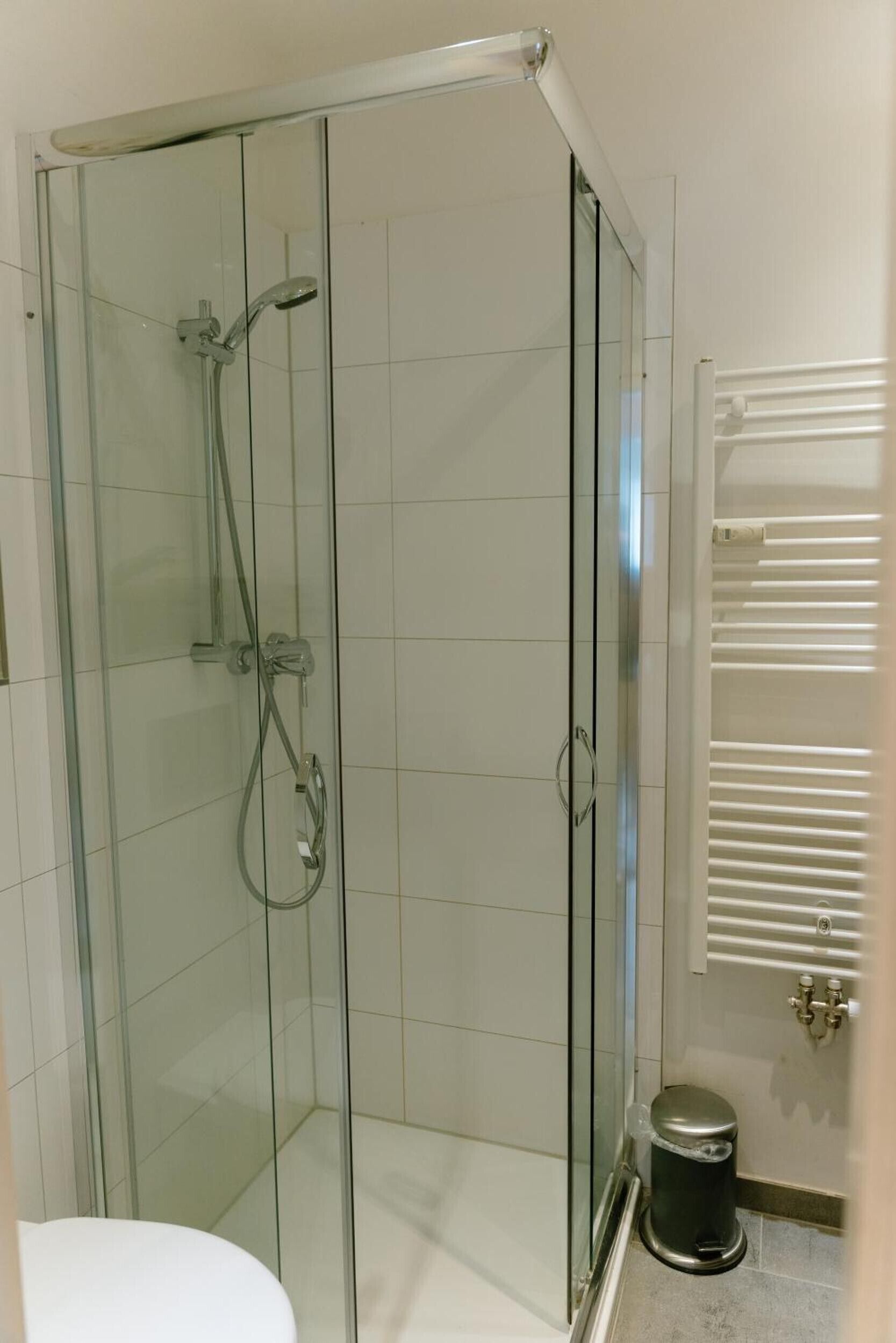 Eine durch eine Glaswand abgetrennte Duschkabine, links ist ein WC sichtbar.