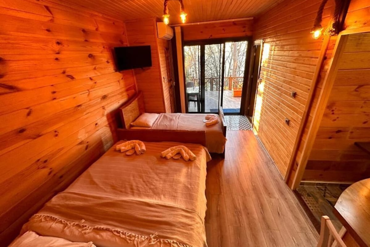 Habitación de cabaña de madera con dos camas, un televisor y una puerta corredera que da a una terraza al aire libre.