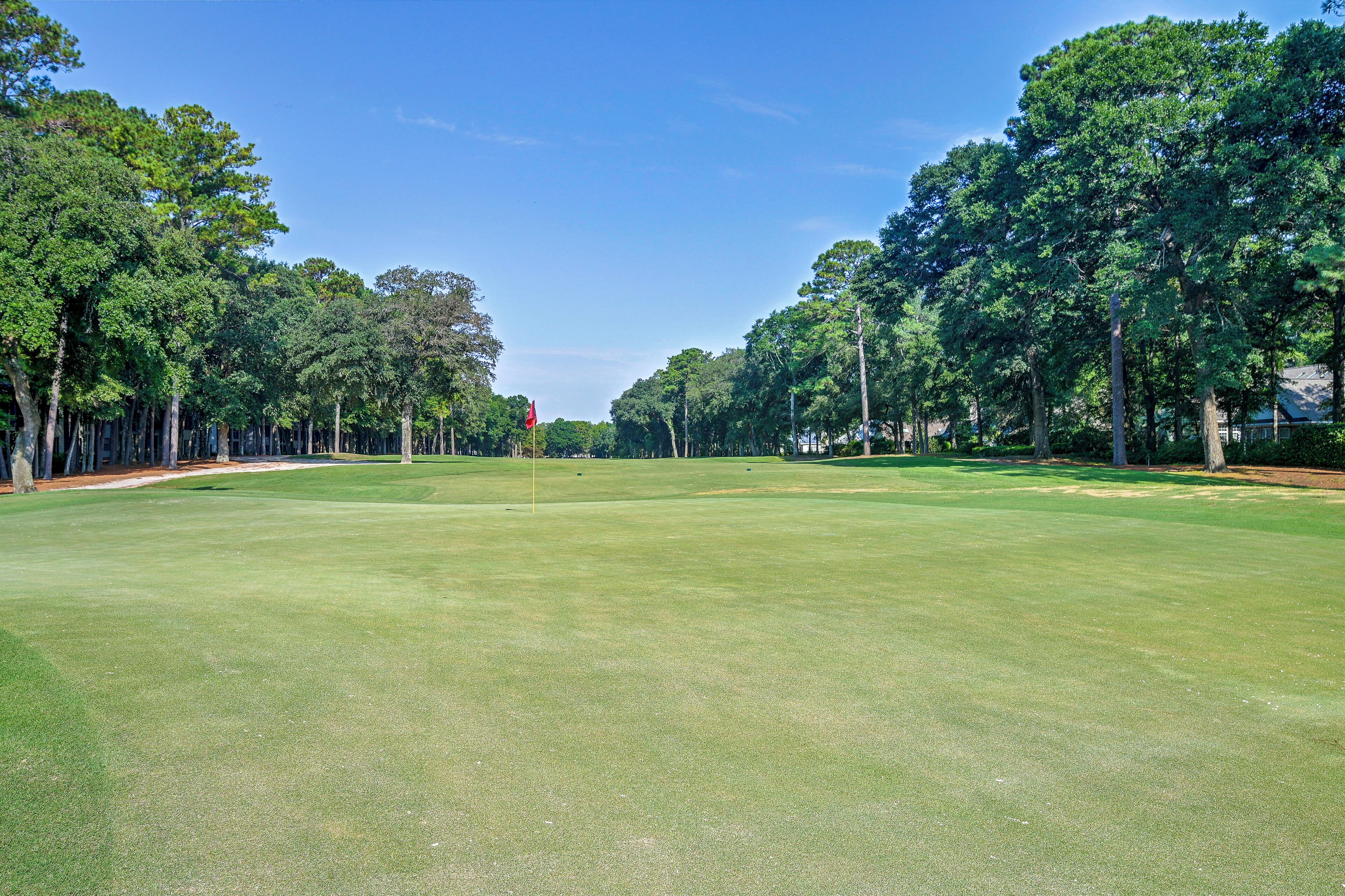 A golf course with a flagstick, trees, and a clear sky.