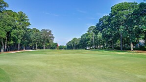 A golf course with a flagstick, trees, and a clear sky. - Pawleys Island Golf + Beach Getaway w/ Pool Access (Pawleys Island)