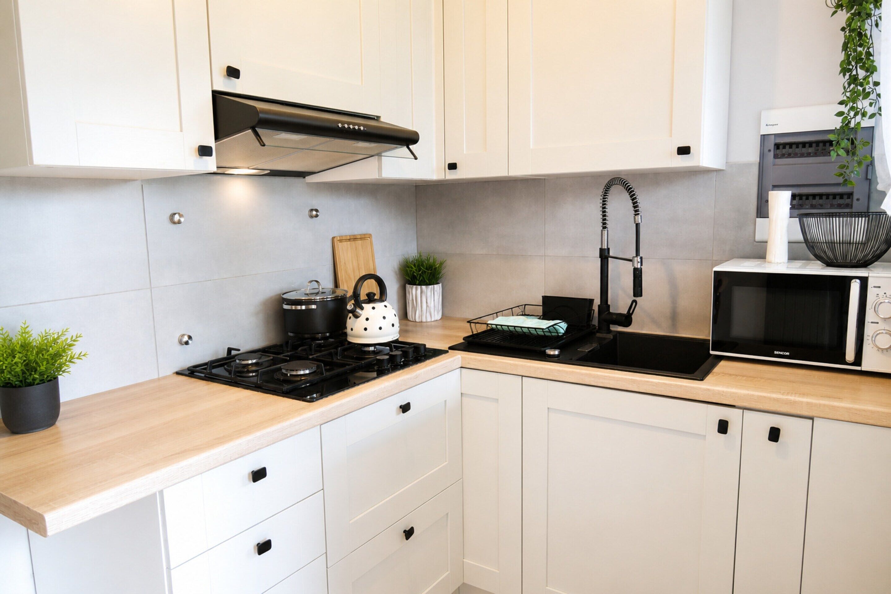 Apartment | Private kitchen