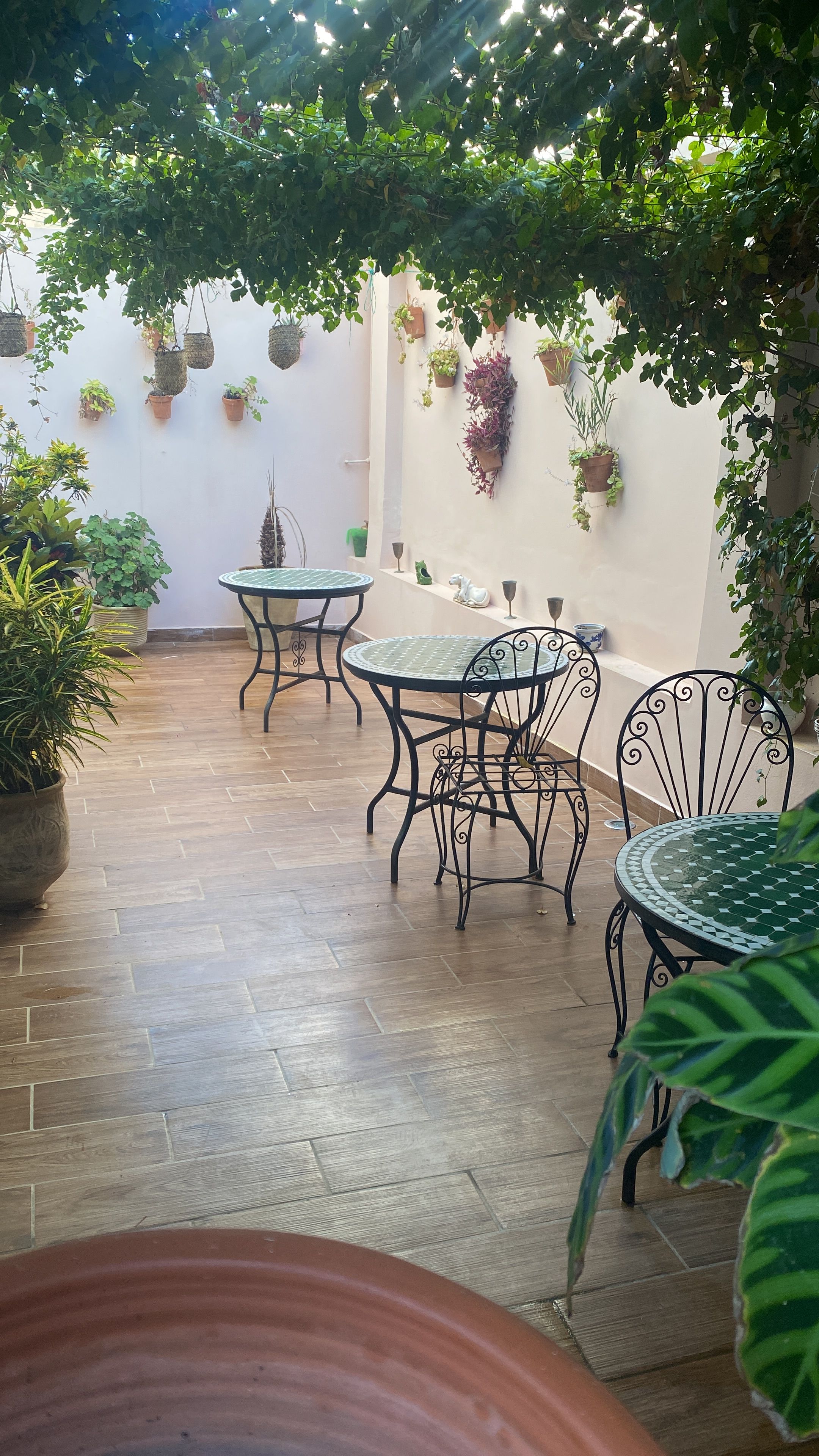 Un patio con suelo de baldosas, mesas y sillas de metal, y diferentes plantas en macetas.