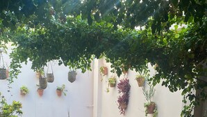 Uma área de pátio com piso de azulejos, mesas e cadeiras de metal e diversos vasos com plantas.