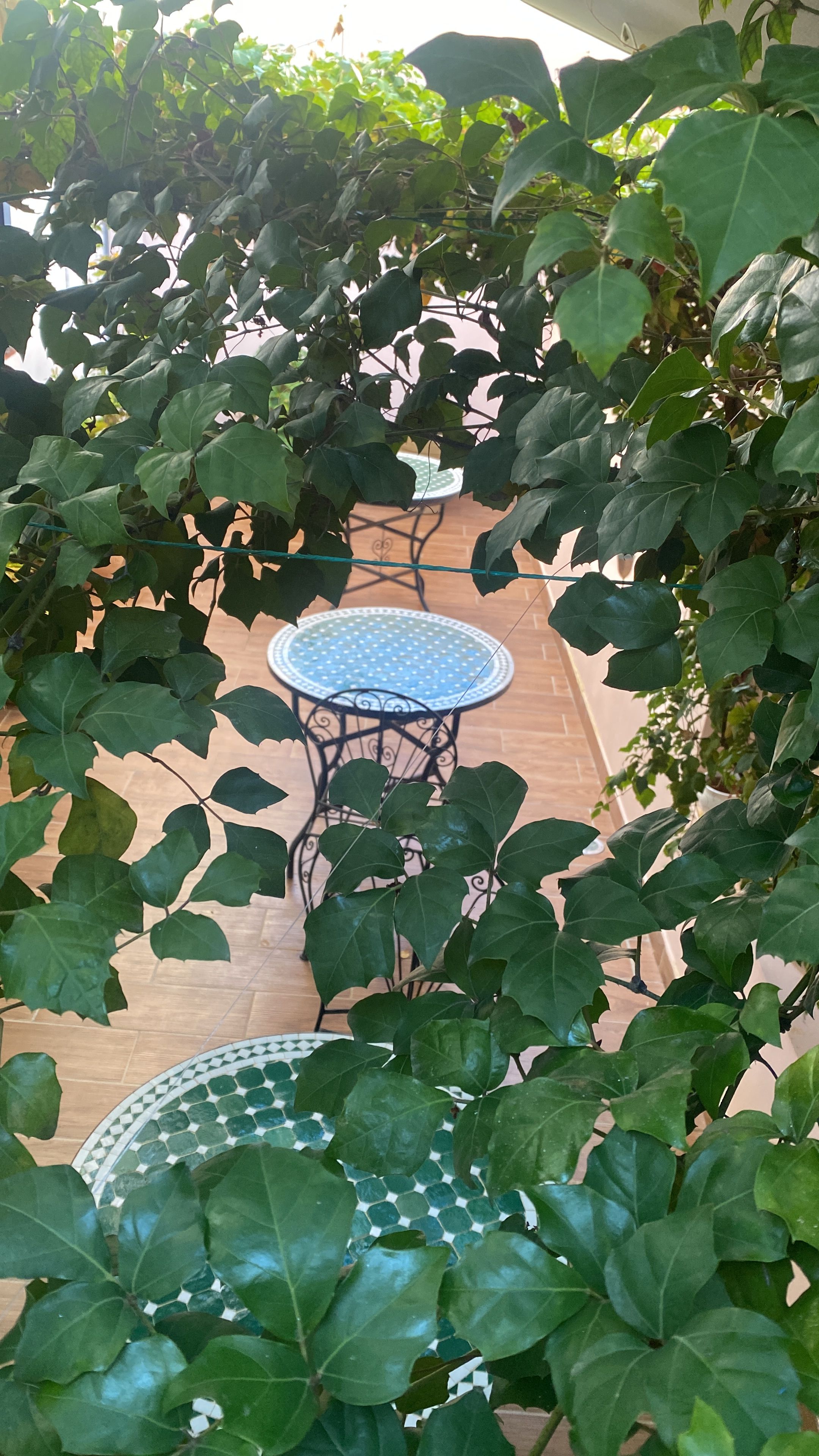A patio area with a round table and chairs, surrounded by dense foliage.