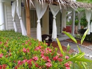 A house with a porch, white curtains, and a garden with pink flowers.