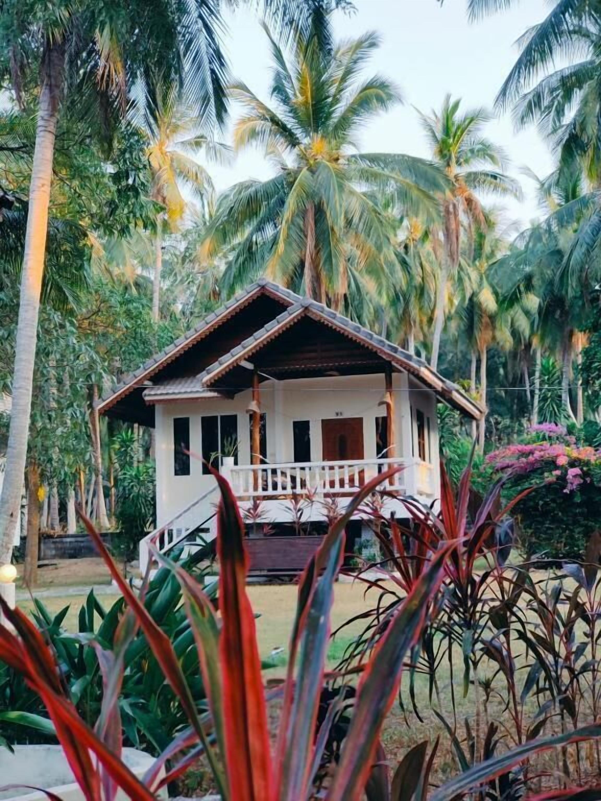 A single-story house with a porch, surrounded by palm trees and tropical plants.