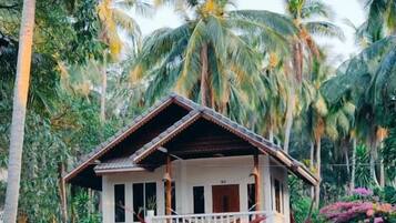 A single-story house with a porch, surrounded by palm trees and tropical plants.