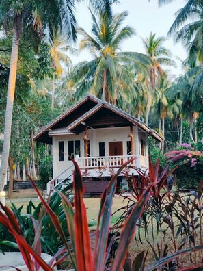 Una casa de un piso con porche, rodeada de palmeras y plantas tropicales.