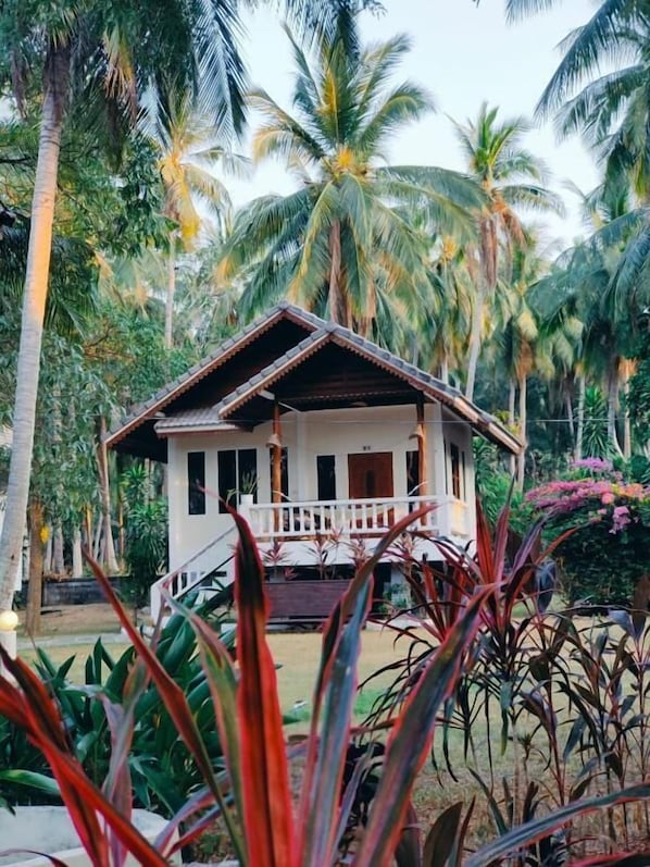 A single-story house with a porch, surrounded by palm trees and tropical plants.