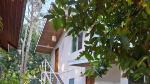 Un edificio blanco con una escalera que lleva a una puerta de madera, rodeado de follaje y un sendero de piedra.