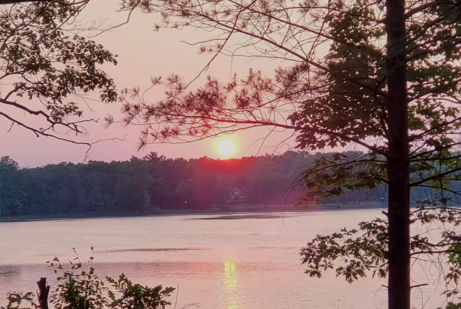 Um pôr do sol sobre águas calmas, com árvores em primeiro plano.