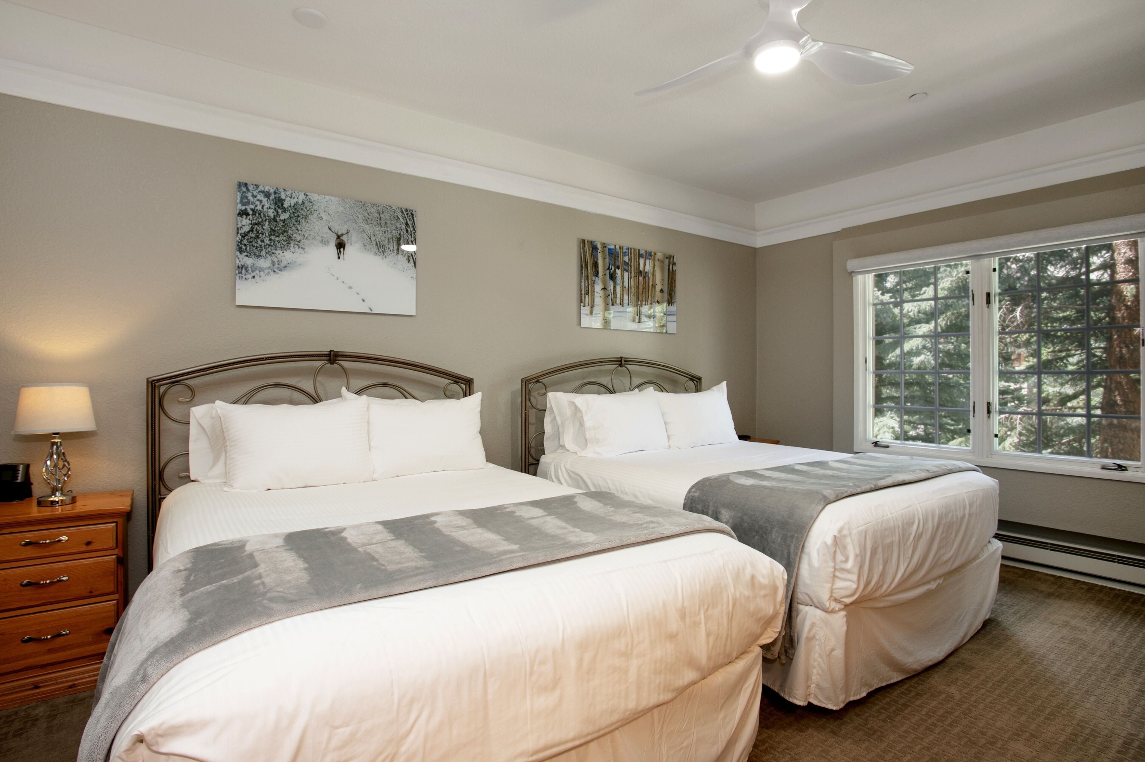 A bedroom with two beds, a nightstand with a lamp, and a window with a view of trees.