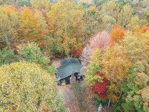 A house surrounded by autumn foliage. - Gorgeous Views • Hot Tub Getaway • Secluded Cabin (Logan)