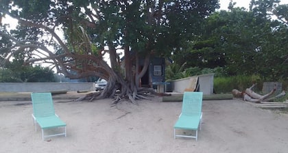 Ocean Front Beach Shack on the Sand