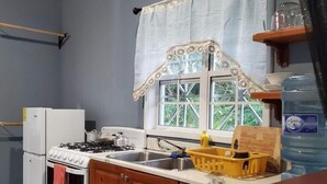 A kitchen with wooden cabinets, a gas stove, a refrigerator, and a window with a view of greenery.