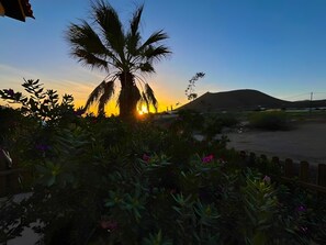 A sunset with a palm tree and flowers in the foreground, a mountain in the background, and a clear sky.