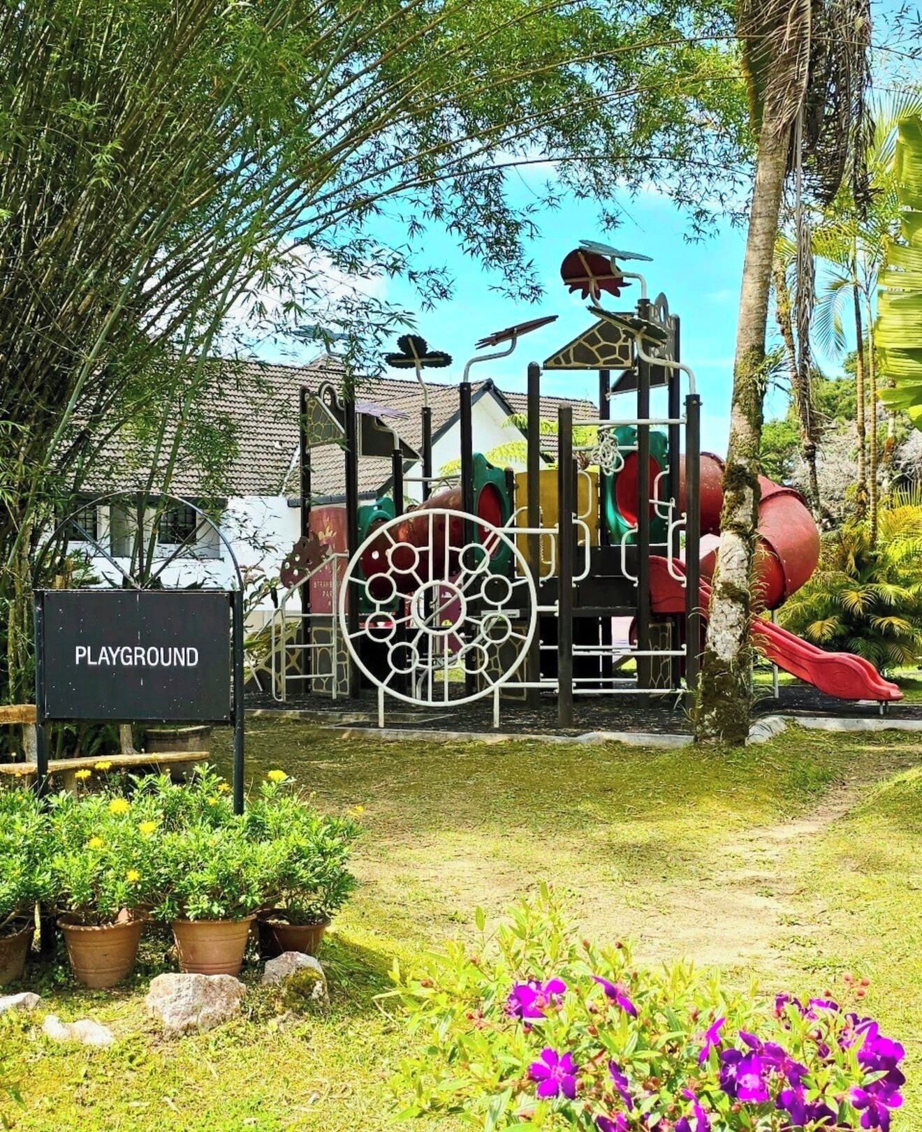 Children’s area