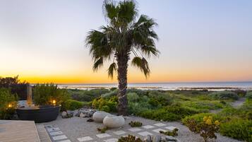 A landscaped outdoor area with a palm tree, a wooden deck, and a view of the ocean at sunset.
