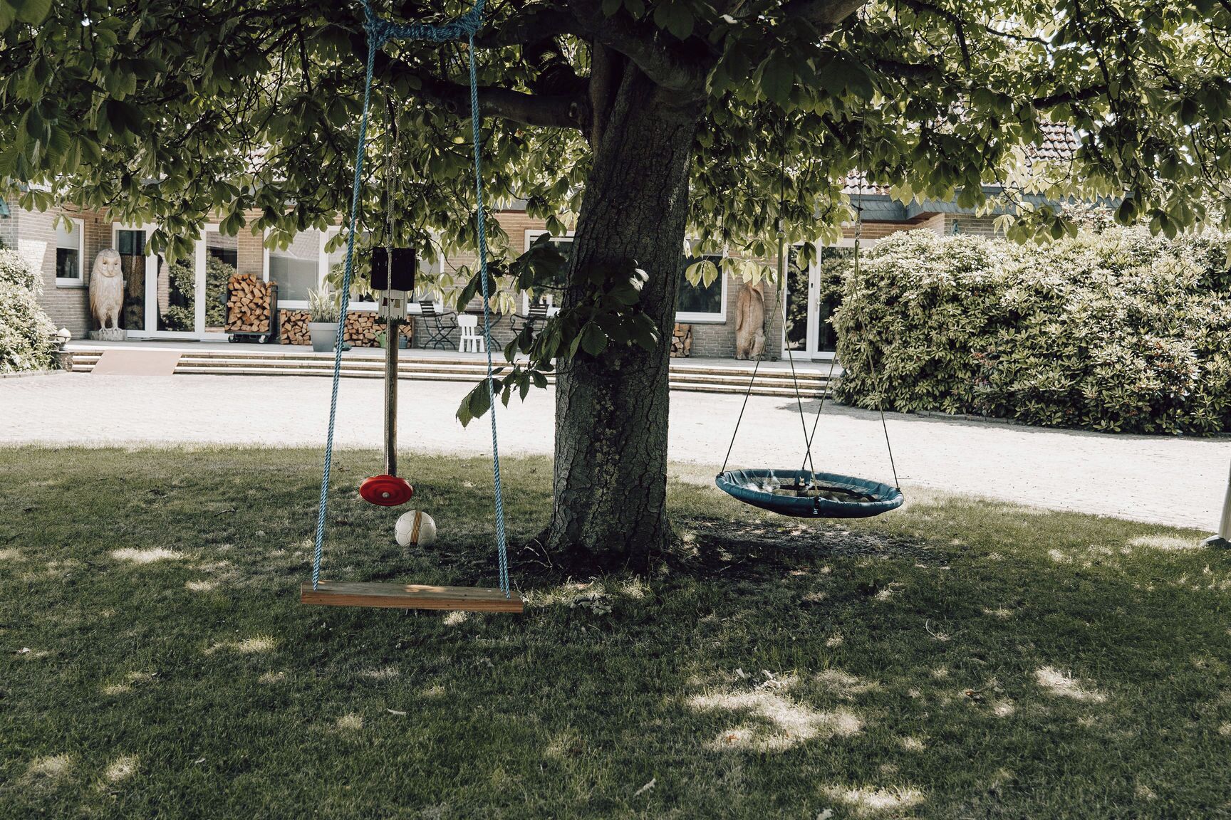 Ein Baum mit Schaukel und Reifen-Schaukel.