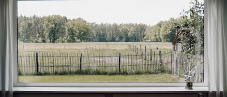 A room with a large window overlooking a fenced field and trees.