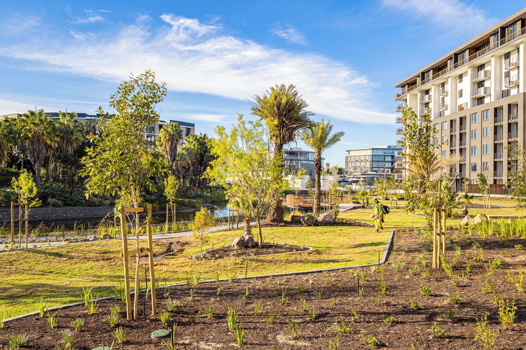 A landscaped garden with young trees, a pond, and a modern building complex in the background.