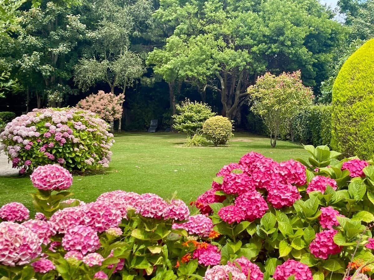 Un jardin agrémenté de divers arbustes et arbres, une pelouse bien entretenue et un ciel dégagé.