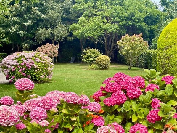 A garden with various shrubs and trees, a well-maintained lawn, and a clear sky.