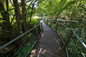 A wooden boardwalk with metal railings, surrounded by dense green foliage.