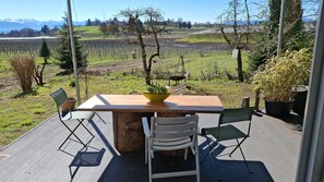 Ein Essbereich im Freien mit Tisch und Stühlen, umgeben von Pflanzkübeln und Blick auf einen Weinberg.