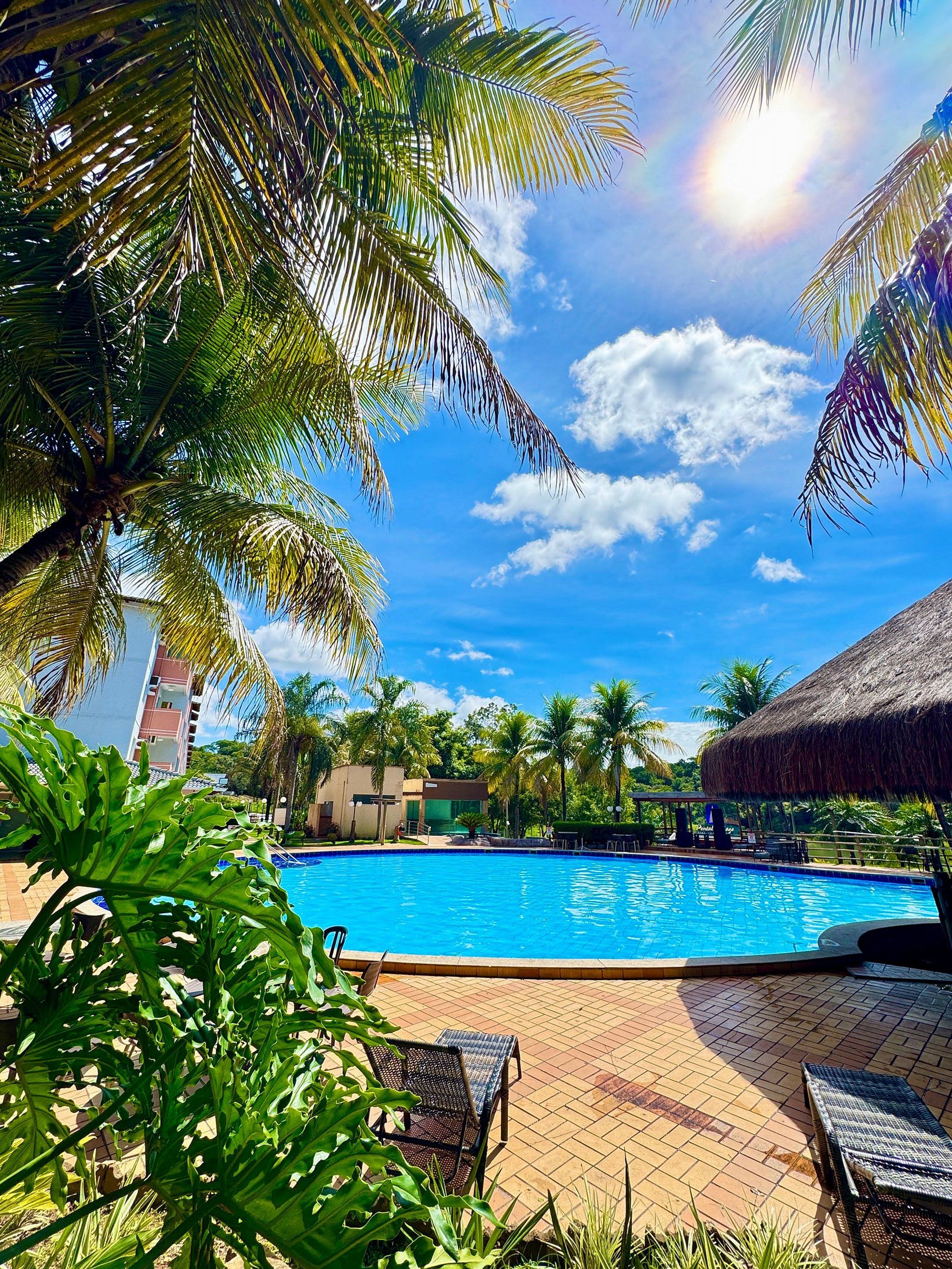 A clear blue pool surrounded by palm trees and a thatched-roof structure, with a view of a modern building in the background.