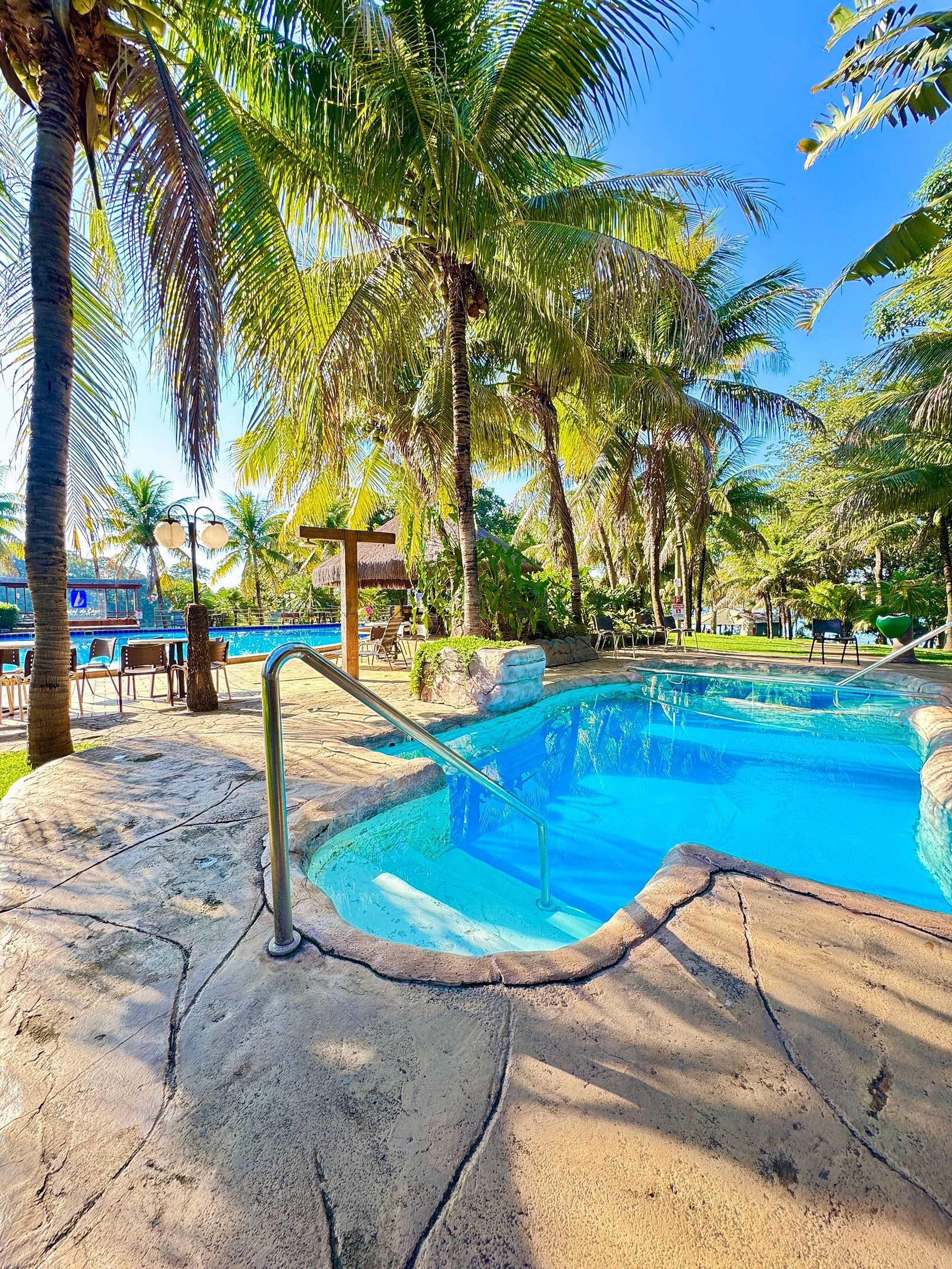A swimming pool with a stone deck, surrounded by palm trees and a thatched-roof structure.