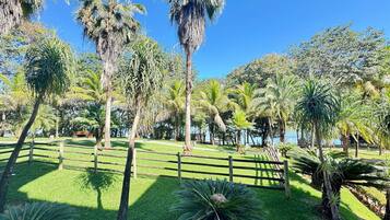 A park with a wooden fence, palm trees, and a grassy area.