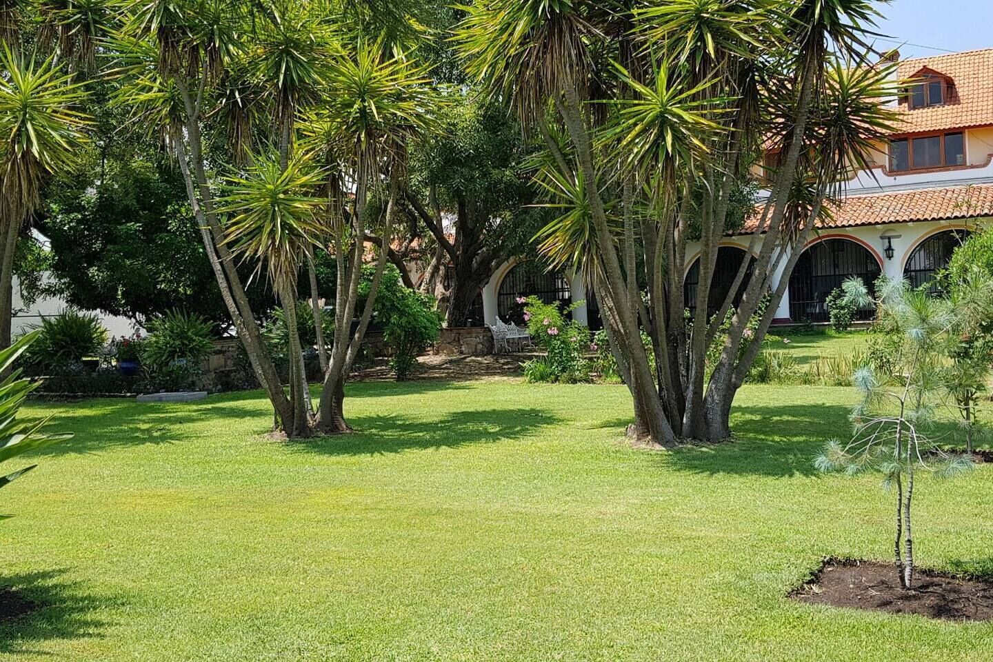 A well-maintained garden with palm trees and a building with arched windows.