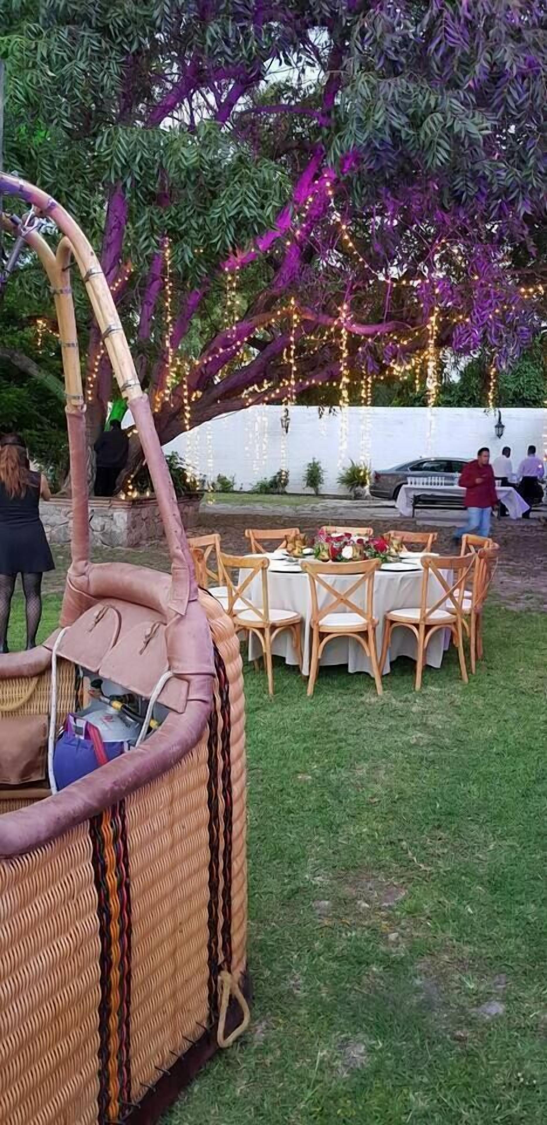 An outdoor dining area with wicker furniture and a large tree with purple foliage.